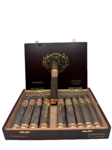 Casa Magna D. Magnus ll Tiberius
