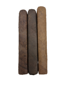 Square Maduro Showdown