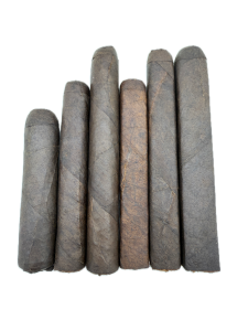 Kings Comeback Sampler